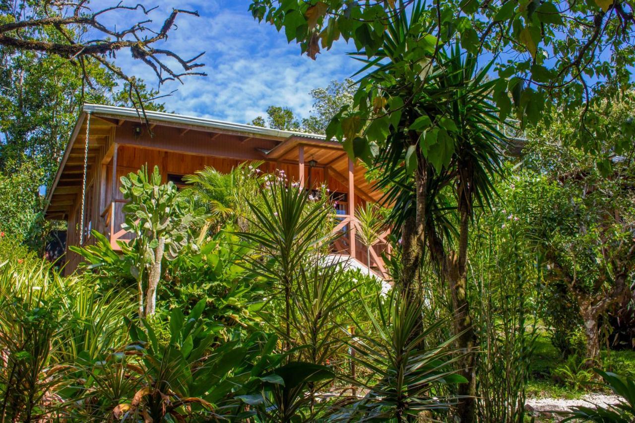 Hotel Holistico Monteverde Dış mekan fotoğraf